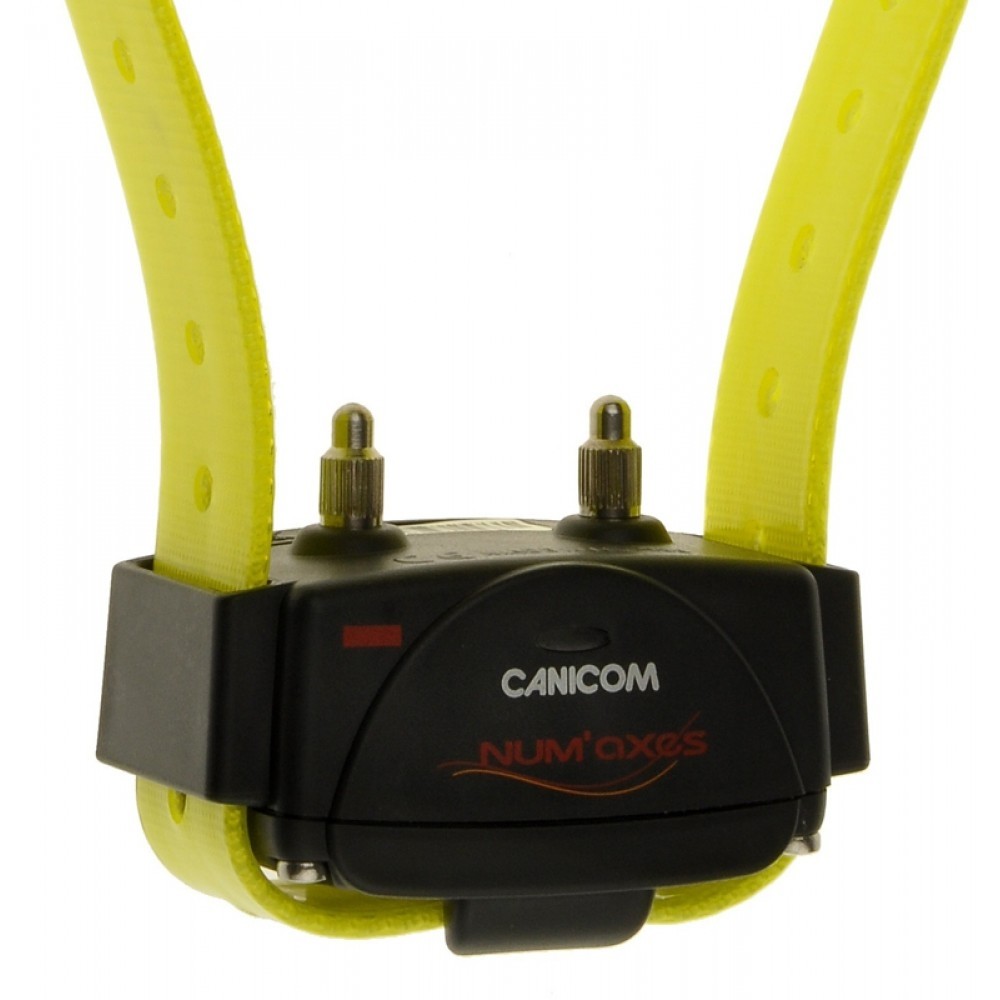 canicom-nax-1000x1000